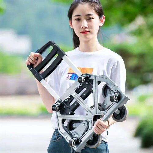 Portable Folding Trolley Cart Home Supermarket Shopping 75kg
