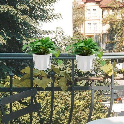 Staghorn Fern Planting Basket Orchid Planter Planters for