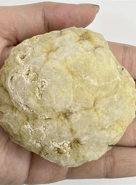 Break Your Own Geodes Natural Agate Geode Real Crystal Speci
