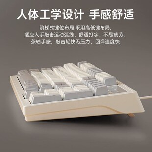 Mechanical Keyboard gaming keyboard RGB wired mute mouse