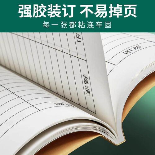 Daily Account Book for Business and Personal Finance, Record