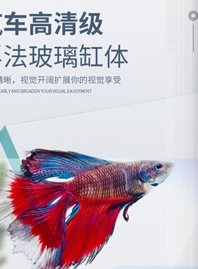 Small fish tank aquarium glass living room filter goldfish