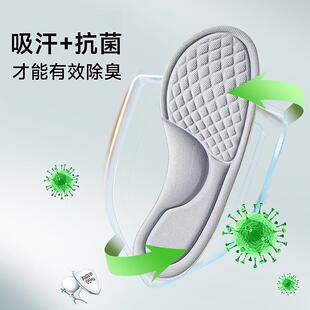 Aromatic Wormwood Insoles for Men - Sweat Absorption, Odor P