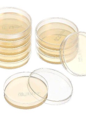 10 Pcs Nutrient Agar Plate Made Sea Moss Gel Flatware