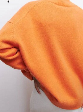Winter Women Turtleneck Sweater Oversize Long Sleeve Top Aut