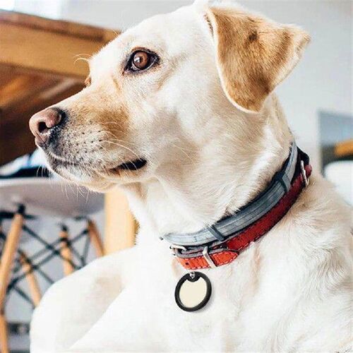8 Pcs Dog Tag Protective Cover Black Silencers Pet Id