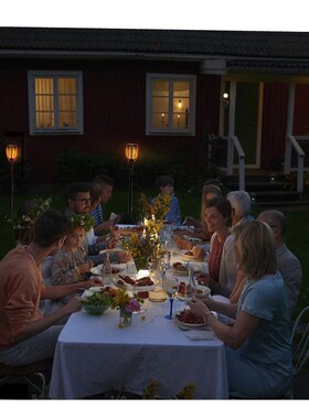 Solar Garden Lights Torch Light Outdoor Decoration 火把灯 1