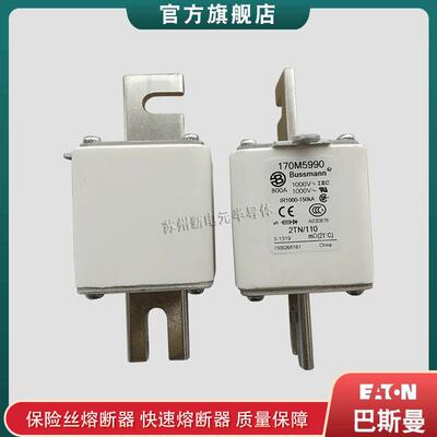 170M5922 5923 5924 5925 5926 巴斯曼bussmann快速熔断器保险丝