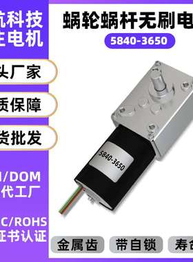 5840-3650蜗轮蜗杆直流减速电机12V调速自锁大功率无刷电机24V