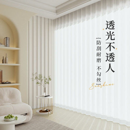 梦幻竖百叶纱帘透光不透人窗帘客厅阳台卧室白纱飘窗窗纱2024新款