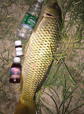 野战开口鲤钓鱼小药野钓鲤鱼饵料诱食剂鲤鱼小箹窝料配方渔具用品