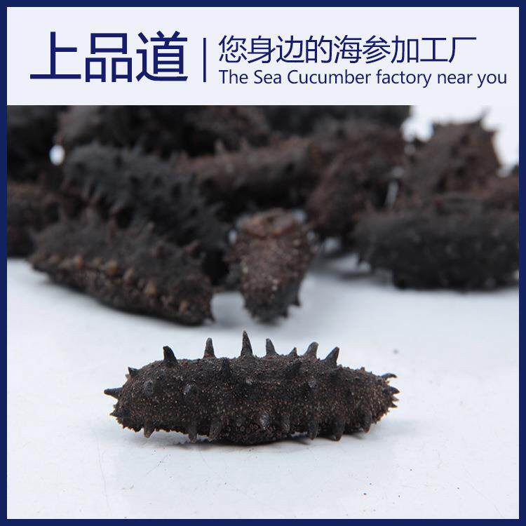 【海参工厂】淡干海参辽刺参干货厂家直供50g天然