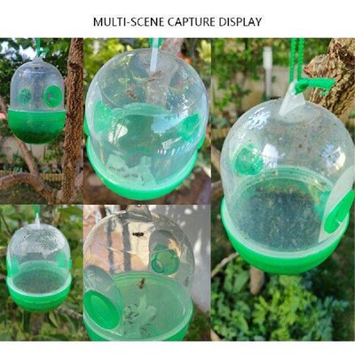 Hanging Beekeeping Catcher Cage Reusable Wasp Trap Wasps