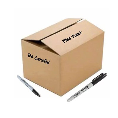 12pcs Black Permanent Marker Pens, Fine Tip, Waterproof, Qui