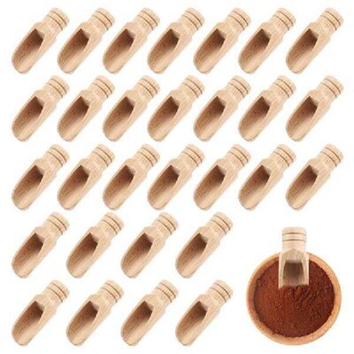 30 Pieces Salt Spoons Small Wooden Spoon with Short Handle