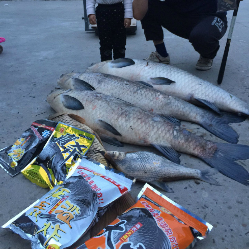 渔农狂轰滥炸爆炸鈎饵青草鲤鯿鲫打窝水库黑坑野钓巨物打窝钓鱼饵,户外/登山/野营/旅行用品,台钓饵,淘宝优惠券,粉丝福利购,淘宝优惠卷