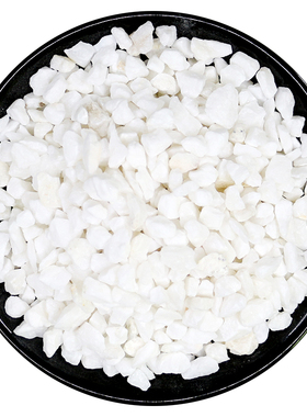 石英砂颗粒细沙白色灭烟沙酒店烟灰缸专用垃圾桶鱼缸造景纯白沙子