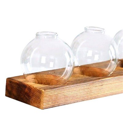 Propagation Terrarium Transparent Bottle Pot Flower