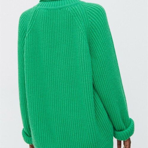 Solid Knitted Womens Turtleneck Sweater Pullovers Female Lo