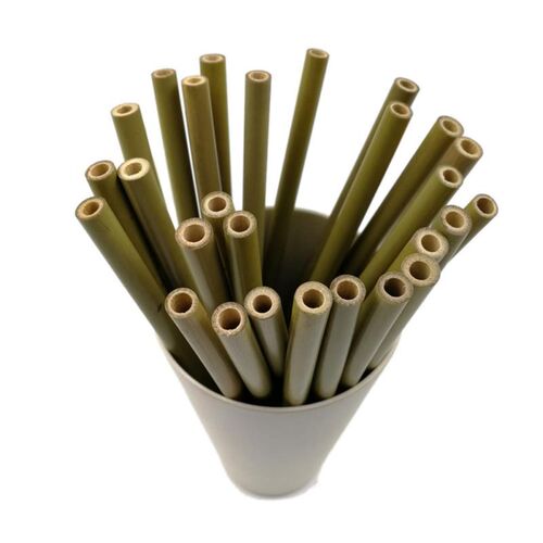 10 Pcs Natural Bamboo Straws Environmentally Friendly Bamboo