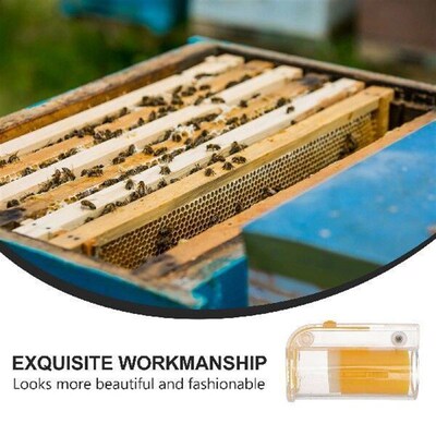 beekeeping bottle rearing box marking catcher catching