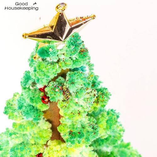 3 Types 14cm Magic Growing Christmas Tree DIY Fun Xmas Gift