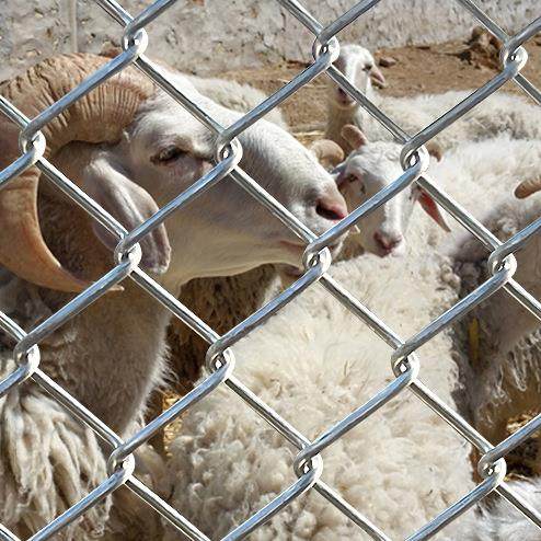 勾花镀锌铁丝网围栏网养殖牛栏网护栏网养鸡防护栅栏网养狗钢丝网,鲜花速递/花卉仿真/绿植园艺,割草机/草坪机,淘宝优惠券,粉丝福利购,淘宝优惠卷