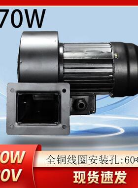 DF-4型低噪声多翼式离心鼓风机60W220V380v耐高温型 C型 普通型