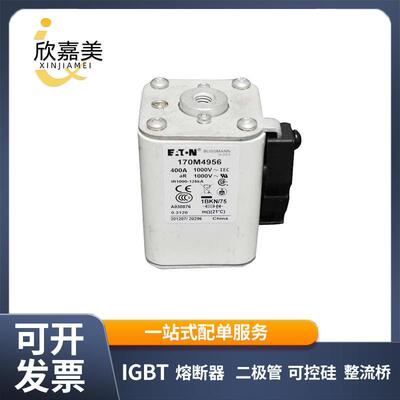 170M4956 170M5010 快速熔断器 电子元器件 库存充足 量大价优