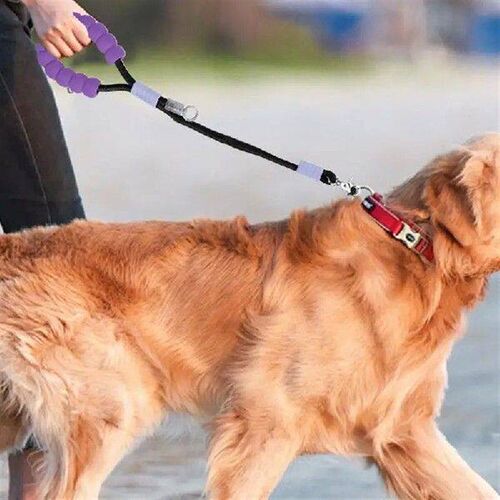 Rope Dog Lead Nylon Dog Rope Chain 2m Dog Walking Chain