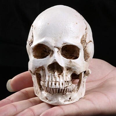 Human Head Replica Resin Divided 3D Skull Mould for Hallowee