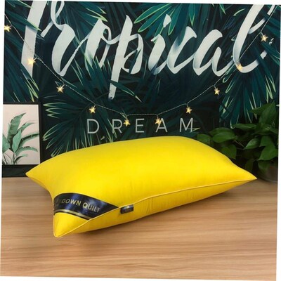 Pillow Healthy pillows feather velvet hotel pillow for bed