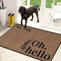 1pc Entrance Doormat, Dirt Resistant door mat, Room Decor, I thumbnail 3