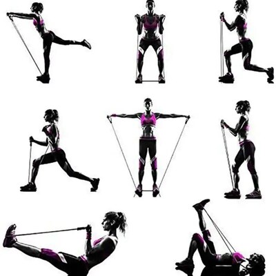 Resistance Bands With Handles, Exercise Bands, Workout Bands