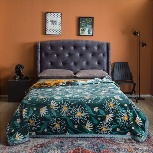 Thickened double-layer coral fleece anti-static blanket