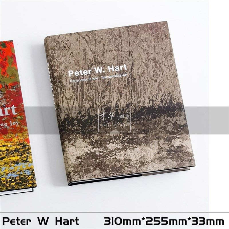 抽象油画装饰真书中古侘寂风样板间会所书房茶几英文艺术书籍摆件