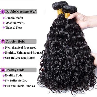 Indian Water Wave Bundles With Closure Wet and Wavy 12A Huma