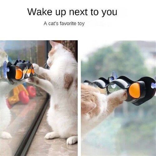 Cat Accessories Track Game Suction Cup Toy Ball with Window