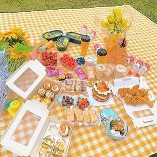 Thick Waterproof Picnic Mat Moisture Proof Ground Blanket fo