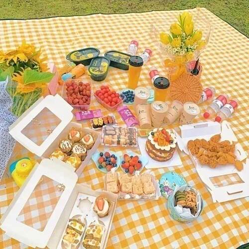 Thick Waterproof Picnic Mat Moisture Proof Ground Blanket fo