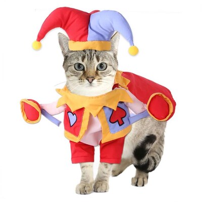 Cowboy horse riding costume pet costume Halloween dog cloths