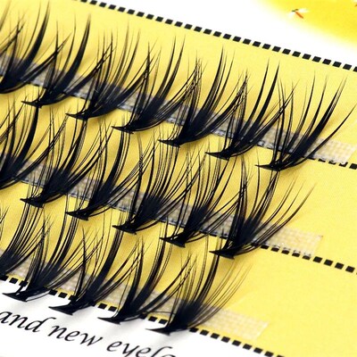 20/30D Natural False Eyelashes 1 box/60 cluster Eyelash Exte