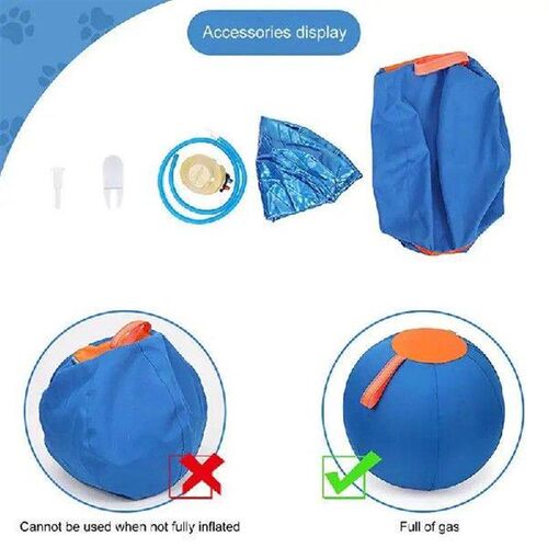 Interactively Dogs Outdoor Inflatable Ball Toy Molar