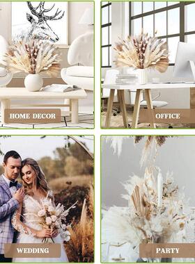 60-109PCS Natural Dried Pampas Grass Bouquet Boho Home Nordi