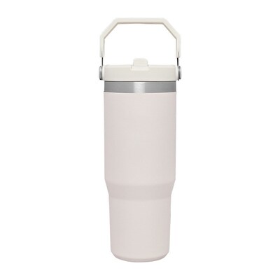 Stainless Steel Tumbler Straw Cup Ice Coffee Water Bottle