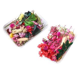 Flowers Dried Flower Pressed Dry Natural Mixed Resin