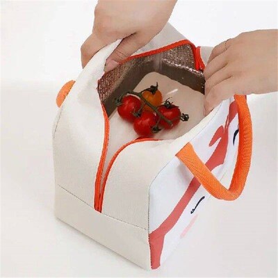 Portable Insulated Thermal Picnic Food Lunch Bag Box