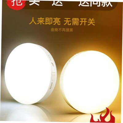 PIR Motion Sensor LED Night Light USB Rechargeable Lamp