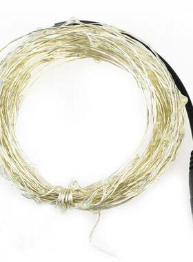 33ft/10m Copper Wire LED String Lights 100 LEDs Cool Warm Wh