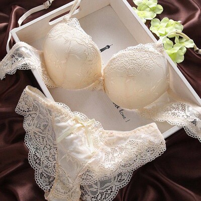 Push Up Bra Lace Bra And Panty Set Womens Embroidery Deep